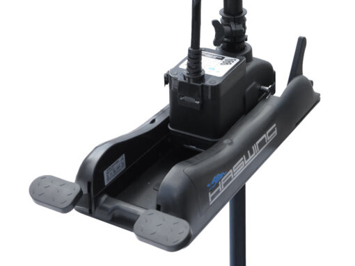 Haswing Cayman-B 80 D Elektro Bugmotor / 1080W 24V / fernsteuerbar / 139cm Schaft