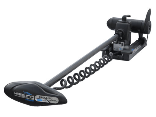 Haswing Cayman-B 80 D Elektro Bugmotor / 1080W 24V / fernsteuerbar / 139cm Schaft