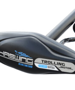 Haswing Cayman-B 80 D Elektro Bugmotor / 1080W 24V / fernsteuerbar / 139cm Schaft