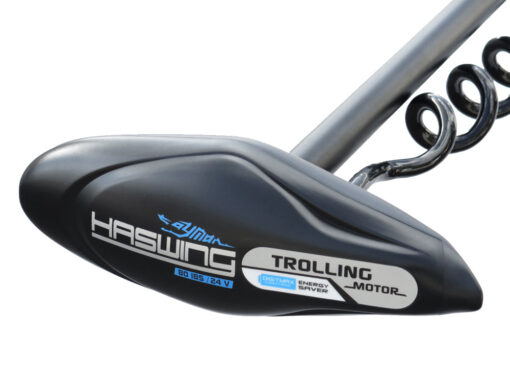 Haswing Cayman-B 80 D Elektro Bugmotor / 1080W 24V / fernsteuerbar / 139cm Schaft